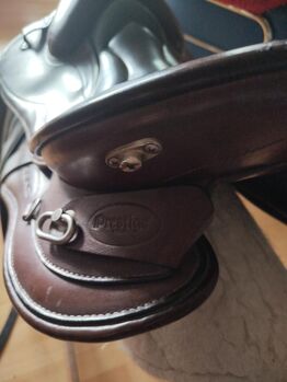 Prestige Atena EVO Fender, 17 Zoll braun/schwarz Prestige  Prestige Atena EVO Fender