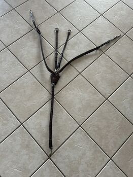 Vorderzeug Prestige, Prestige , Victoria Kiefer, Training Aids, Mettlach 