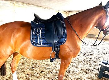 Dressursattel Prestige Prestige  Top Dressage