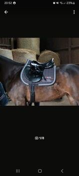 Prestige Elastic Professional 16 Zoll neuwertig, Prestige  Elastic Professional , Imke , Jumping Saddle, Balge