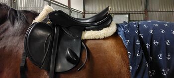 Prestige Elastic Professional 18/33kw, Prestige  Elastic Professional , Claudia , Jumping Saddle, hoort