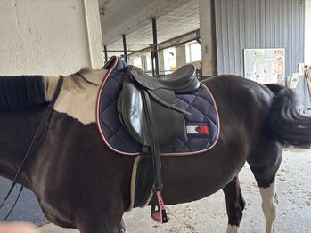 Prestige Elastic Professional Springsattel, Prestige  Elastic Professional , Aylin , Jumping Saddle, Andernach 