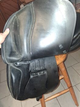 Prestige gp2 Prestige  GP2