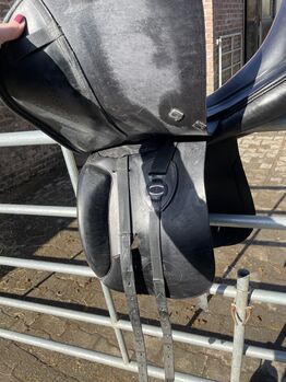 Prestige Helen x Technologie 18/33 Prestige Helen Langehahnenberg x Technologie 