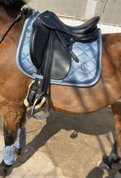 Prestige lucky Idol Dressursattel, Prestige  Lucky Idol , Natalie , Dressage Saddle, Euskirchen