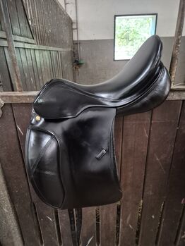 Prestige Milano, Prestige Milano, Desiree B., Reitpad, Bomlitz