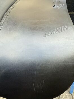 Prestige Roma Dressage (Weihnachtsaktion -10%bis 31.12.2025!!) Prestige  Roma Dressage 