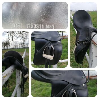 Prestige Top Dressage, Prestige Top Dressage, Pichler Susanne, Dressage Saddle, Steyr 