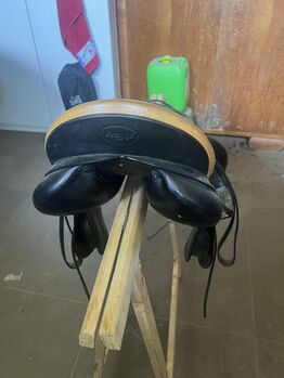 Prestige Venezia, Prestige  Venezia, Beate, Jumping Saddle, Eggendorf im Traunkreis 