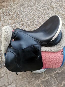 Prestige Vs Sattel, Prestige  Venezia , Karla Gerlach , All Purpose Saddle, Ostrau