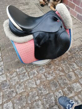 Prestige Vs Sattel Prestige  Venezia 