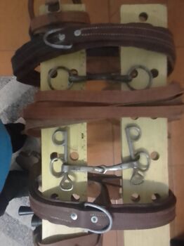 PRISTINE UNUSED Double Leather Harness Set – Full Pair with Bridles & Reins, Annika de Beer, Horse Harness, Northam