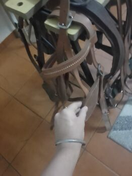 PRISTINE UNUSED Double Leather Harness Set – Full Pair with Bridles & Reins