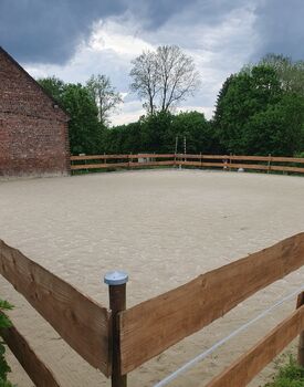 Privatstall hat 2 Boxen frei