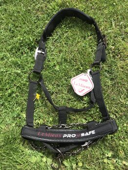 Pro Safe Head Collar, LeMieux , Sam, Halters, Rochford 