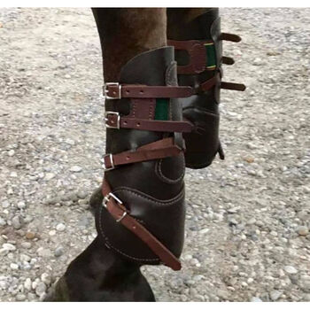 Professionals Choice Country Ledergamaschen M / COB, Professionals Choice Country , WOW Pferd  (WOW Pferd Shop), Tendon Boots, Bayern - Attenkirchen
