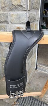 Prolite Kurzgurt Fairfax Top Zustand, 75 cm, Prolite Fairfax , Steffi, Girths & Cinches, Friedewald 