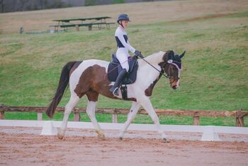 Eye-Catching Paint Eventer- Confident & Capable