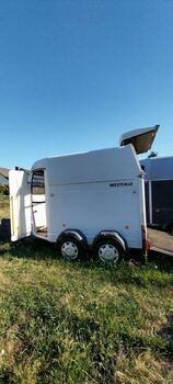 Westfalia Pferdeanhänger, EZ 07/98, TÜV bis 08/27, 2t Nutzlast, Westfalia  Jupiter , Catrin Otto, Przyczepa konna, Löbnitz Sachsen 