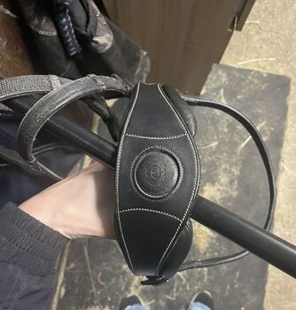 PS of Sweden, PS of Sweden, Ajda, Bridles & Headstalls, Ljubljana