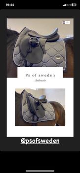 Ps of Sweden Anthrazite, Jacqui, Dressage Pads, Linz