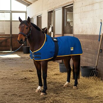 pulsierendes Magnetfeld - Magnetfelddecke zum 30-Tage Test equimag equimag expert in der Austattung Profi-Set