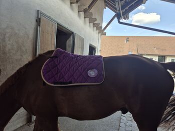 Pummeleinhornschabracke VS, Tamara O., Dressage Pads, Windisch