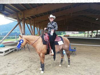 Quarter Horse Wallach, super Lehrmeister