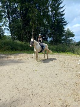Quarter Horse Stute, Anita, Pferd kaufen, Freiwalddorf