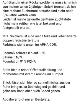 Quarterhorse Stute von 2023, doppelt registriert