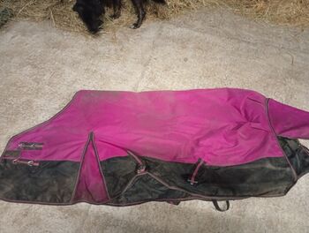 Regendeckel 135, Hkm, Claudia , Horse Blankets, Sheets & Coolers, hoort