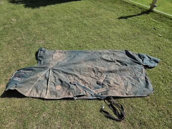 Regendecke 145 cm, 4 Horses, Nicole , Horse Blankets, Sheets & Coolers, Neukirchen-Vluyn