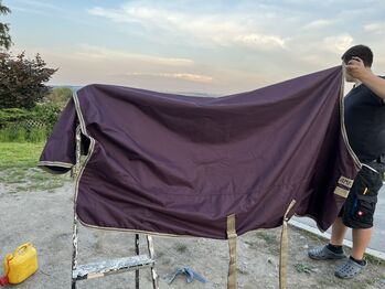 Regendecke 145 cm, Amigo , Victoria , Horse Blankets, Sheets & Coolers, Oederan