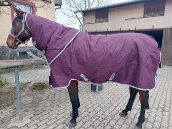 Regendecke Amigo Hero 600D Ripstop Plus inkl. abnehmbaren Halsteil, 155cm, 200g, Horseware Amigo Amigo Hero Ripstop Plus, Medium 200g, Jenny , Horse Blankets, Sheets & Coolers, Modautal