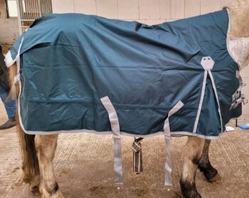 Regendecke / Felix Bühler / 0g / 115 / highneck, Viktoria, Horse Blankets, Sheets & Coolers, Berlin