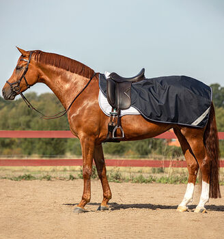 RAMBO Ausreit- & Nierendecke “Ripstop Competition Sheet” Navy 150 cm, Horseware RAMBO Ripstop Competition Sheet, myMILLA (myMILLA | Jonas Schnettler), Horse Blankets, Sheets & Coolers, Pulheim