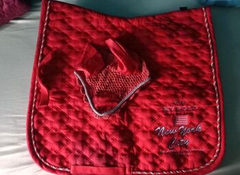 Rote HV Polo Schabracke mit passenden Fliegenohren, Anna, Dressage Pads, Recklinghausen 