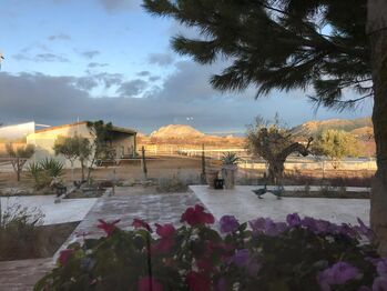 Ref2342 Andalusien, Provinz Murcia, Campo de Ricote - Traumfinca für Pferdefreunde!, Sabine Wesseln, Maras World of Horses (Maras World Solutions S.L.), Equestrian Properties, Campo de Ricote