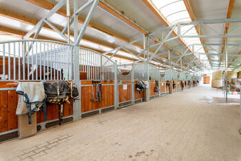 Ref2457CH Österreich, Steiermark, Edelsbach - Wohnung mit Pferdestall zu verkaufen