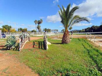 Ref2506LO Andalusien, Alhaurin El Grande - Finca mit Wohnhaus, Pferdestall, Reitplatz zu verkaufen
