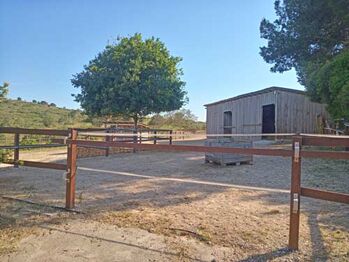 Ref2531 Spanien, Valencia, Monserrat - Finca mit Pferdehaltung zu verkaufen!
