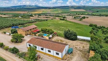 Ref2607SK Andalusien, Arcos de la Frontera, Finca mit Wohnhaus, Pool, Pferdestall und Reitplatz, Sabine Wesseln, Maras World of Horses (Maras World Solutions S.L.), Equestrian Properties, Chiclana de la Frontera