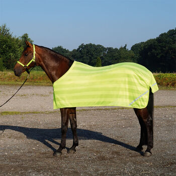 Reflektierende Ausreitdecke Busse