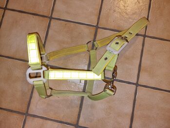 Reflektionshalfter, Halfter, Waldhausen, Waldhausen, Katharina Neumaier, Reflexartikel, München