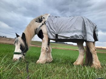 Reflektordecke Größe COB/140cm, Maria Neumeier, Reflective Horse Wear, Laberweinting