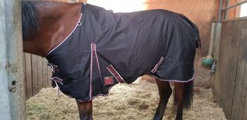 Regendecke 135 cm, Reitsport-exklusiv , V.L, Pferdedecken, Feuchtwangen