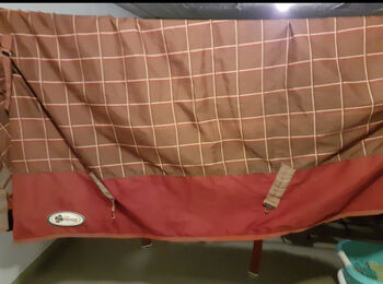 Regendecke High neck 155, Holl, Horse Blankets, Sheets & Coolers, Essen