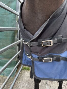 Regendecke 145? Harry horse 