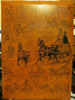 Rules of tandem driving on Leather