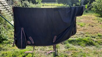 Regendecke, Yvonne , Horse Blankets, Sheets & Coolers, Velen